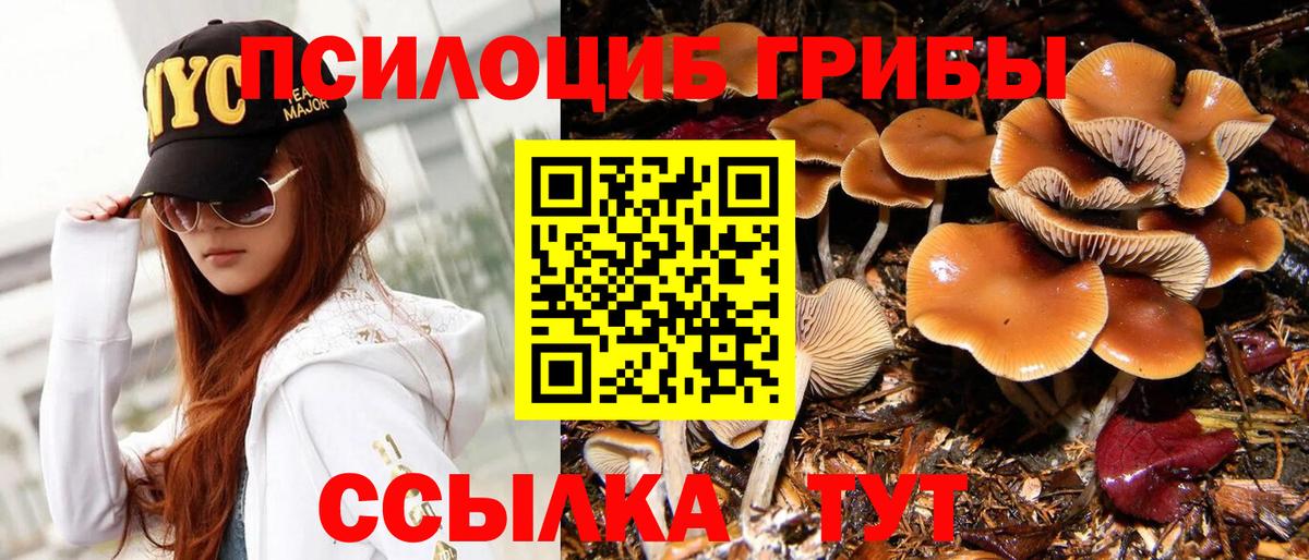 Галлюциногенные грибы Psilocybine cubensis Тольятти
